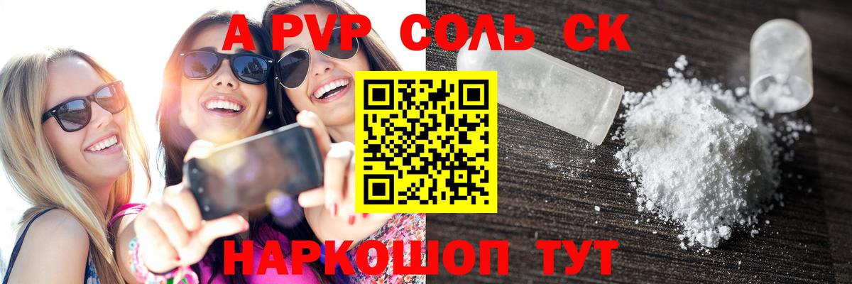 A PVP СК Камышин