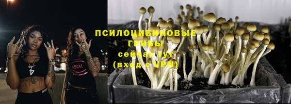 ПСИЛОЦИБИНОВЫЕ ГРИБЫ Михайловск