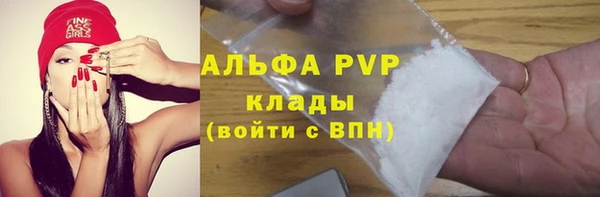 ПСИЛОЦИБИНОВЫЕ ГРИБЫ Михайловск