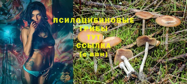ПСИЛОЦИБИНОВЫЕ ГРИБЫ Михайловск