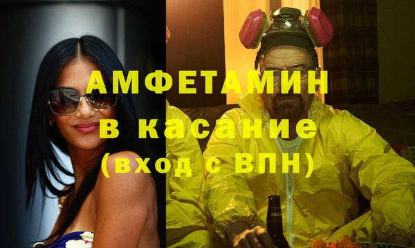 прущие грибы Ачинск