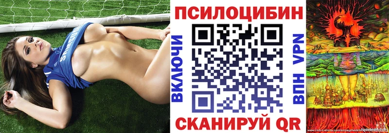 где купить наркоту  Камышин  Псилоцибиновые грибы Cubensis 