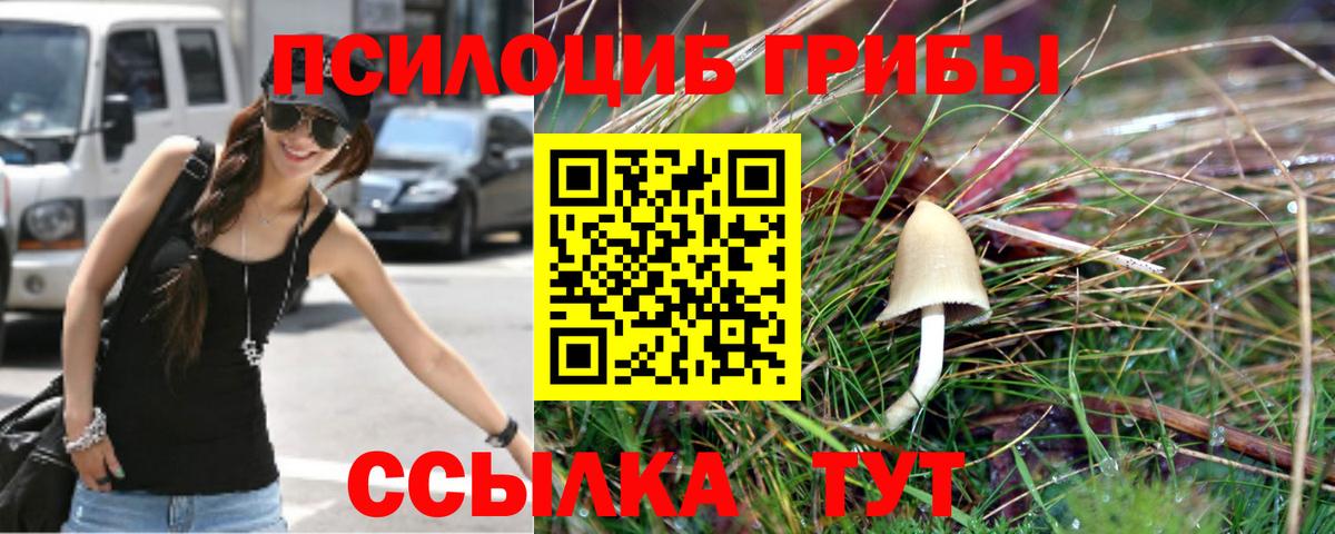 Псилоцибиновые грибы Cubensis Камышин
