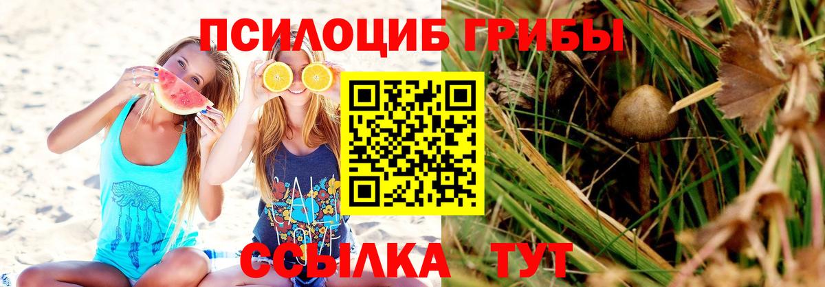 Псилоцибиновые грибы Cubensis  Камышин  Псилоцибиновые грибы Psilocybine cubensis 