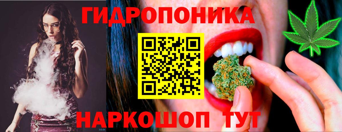 Камышин  Канабис Amnesia  Шишки марихуана план  Вход с VPN 